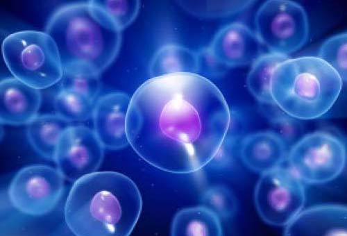 Ozone-Therapy.jpg