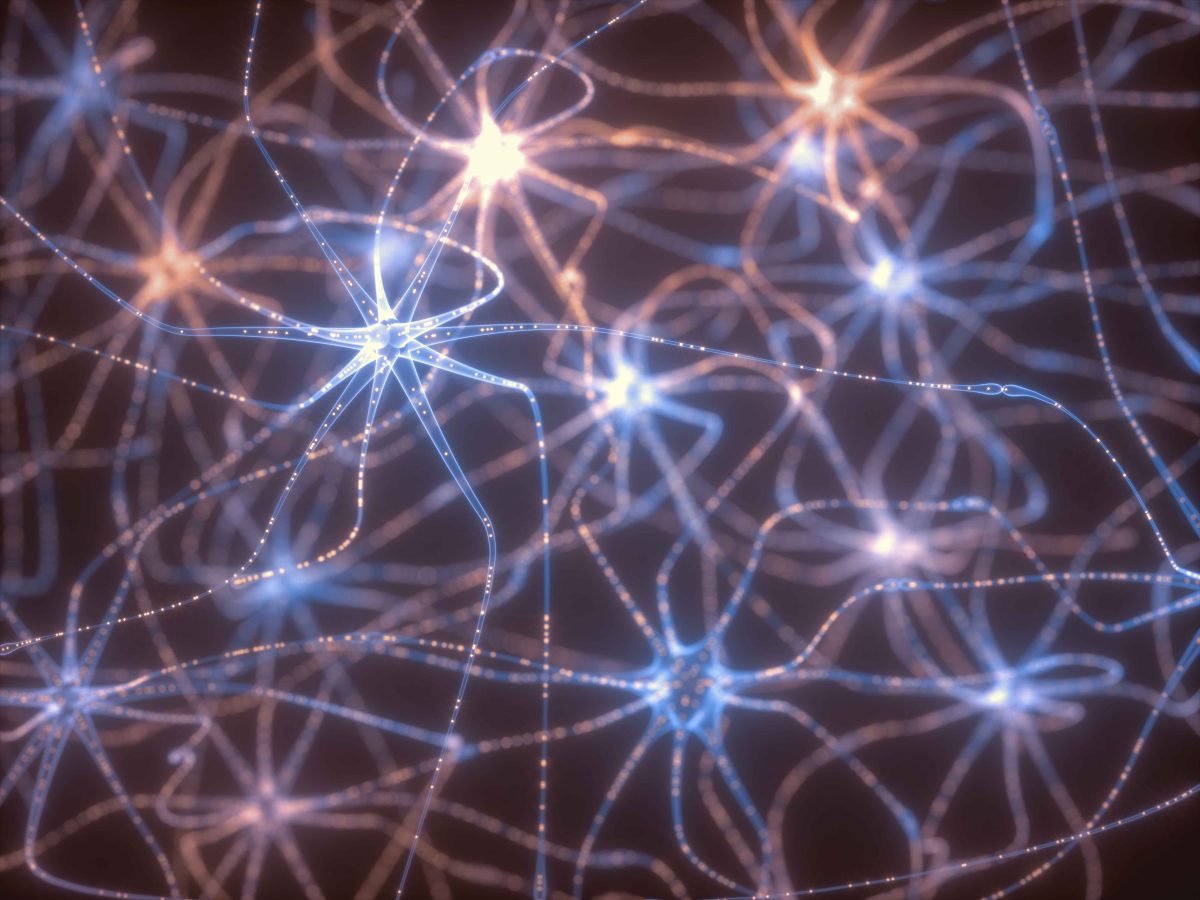 neurons-electrical-pulses-2021-08-26-18-26-30-utc-1-1200x900.jpg