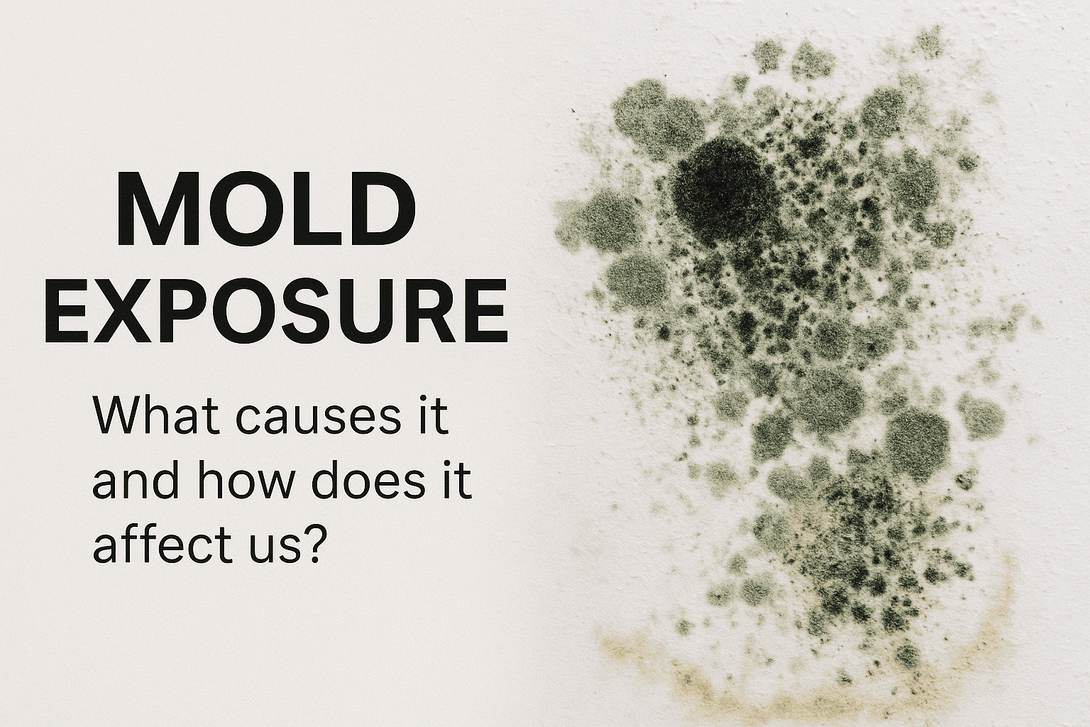 1758664481_b438be482fc64f8393ac9aeb3af684c2